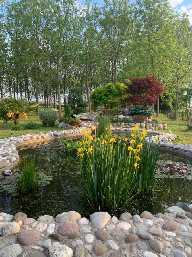 Pool & Garden Villa Lelia Mirano Exterior photo